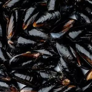 (올핀)세척 홍합 3kg 국내산 통영 다듬이 조개