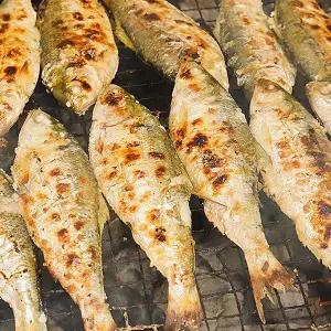 [통영수산물시장] 자연산 생물 전어 구이용 500g 4미내외