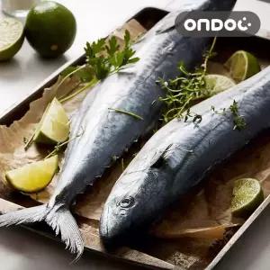 [온도씨]제주 손질 삼치살 4팩 (특대/팩당 400g이상)