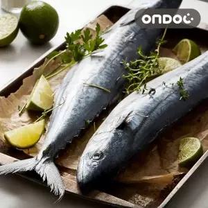 [온도씨]제주 삼치살 6팩 (특대/팩당 400g-500g이상)