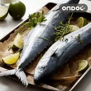 [온도씨]제주 손질 삼치살 6팩 (특대/팩당 400g이상)