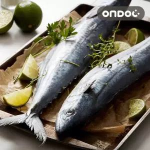 [온도씨]제주 손질 삼치살 4팩 (특대/팩당 400g이상)