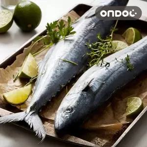 [온도씨]제주 손질 삼치살 4팩 (왕특/팩당500g이상)