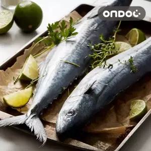 [온도씨]제주 손질 삼치살 10팩 (대/팩당300-400g)