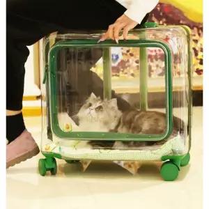 강아지 투명케리어 여행 투명 산책 애완동물 휴대용