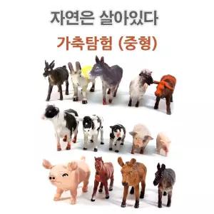 자연은살아있다 가축탐험 (중형)/공룡/동물/세트/모형/완구/트럭/학습/학습용/교육용/조류/인형/장난감