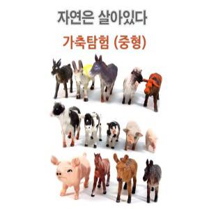 u) 이종욱완구 자연은살아있다 가축탐험 (중형)