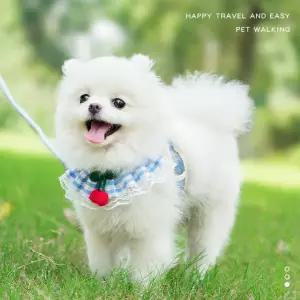 귀여운 강아지 목줄 하네스 케이프