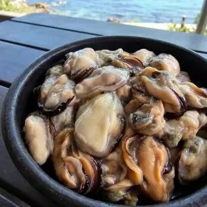 [경남 고성군] 냉동 홍합살 1kg