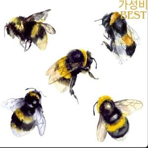 투명 실리콘 고무 스탬프 및 금속 다이 시트 클링 스크랩북 DIY 귀여운 패턴 사진 앨범