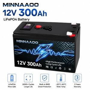 12V 150Ah 200Ah 리튬인산철(LiFePO4) 배터리 충전식 셀 15000회 사이클 BMS 포함 RV/밴/캠핑/가정용 저장