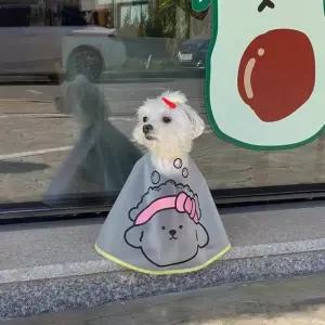 강아지 세안보 미용 커트보 반려동물 고양이 케이프 턱받이 애견 샵 푸들 셀프