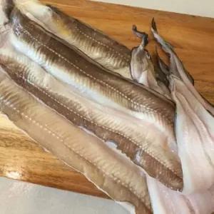통영 손질 바다장어 특대 1kg 소스포함 구이 붕장어