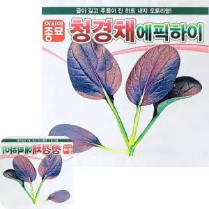 제이커 청경채 에픽하이 씨앗 종자 종묘 씨 예쁜 도토리형