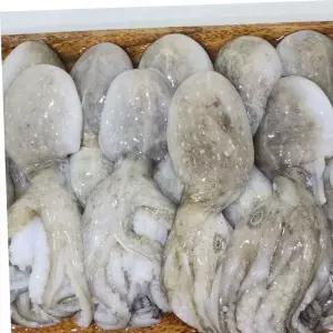 업소용쭈꾸미 혜명몰 냉동 쭈꾸미 냉동해산물 냉동수산물 쭈꾸미수입 급냉쭈꾸미 1kg