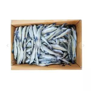 두절 노가리 10KG 16 18 사이즈 1박스