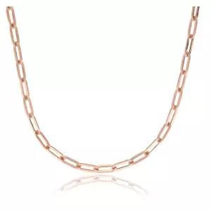 [로이드]클립체인 14k 목걸이 (5.5mm) LNC21016G