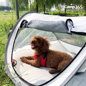 [CAMP365][캠프365] 원터치 애견텐트 강아지집 고양이집 반려동물 애견하우스