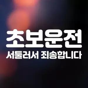 고휘도 초보 운전 자동차 스티커 서툰 초보/차량/용/차/왕/안내/양보/주의/안전/반사/탈/부착/자석/용품