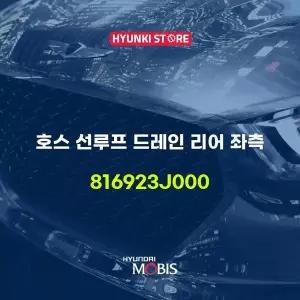 [현대모비스]호스 선루프 드레인 리어 좌측 (816923J000) 현대모비스부품몰