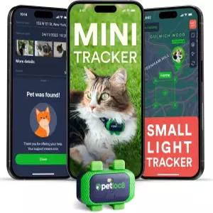 고양이용 Petloc8 GPS 트래커 지오펜스 및 알림 SOS 버튼이 있는 4G LTE 실시간 트래킹 방수 반려동물 칼라