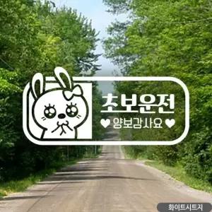 초보운전스 자동차스티커 양보감사요 초보운전 차량스티커 유리 화이트시트지 차량데칼