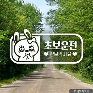 애교토끼 초보운전 양보감사요 자동차스티커 화이트스티커 차량스티커 자