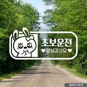 초보운전 양보감사요 차량스티커 화이트시트지 자동차스티커