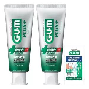 검 Gam 플러스 덴탈 페이스트 허브 민트 120g x 2 소프트 픽