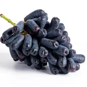 서치63 포도 블랙사파이어 1.5kg 가지포도 빠른배송