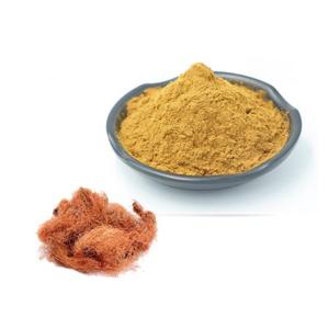 옥수수수염추출분말 1kg