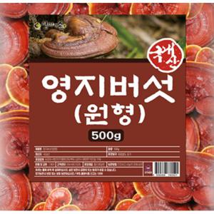 말린 영지버섯 원형 영지 버섯 500g 건재 OM국산