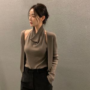 가을 신상 디자인 스플라이스 니트 스웨터 페이크 투피스 캐주얼 스타일 밝은 실 여성용 폴리에스터 섬유 후드탑