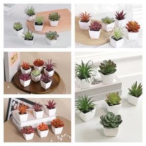 6PCS (세트) 미니 인공 즙이 많은 녹색 식물 플라스틱 Wwhite 분지, 홈 창틀, 레스토랑 데스크탑 책장 장식