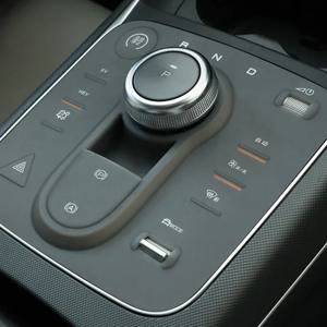 BYD KING DMI BYD Chazor 센터 콘솔 패드 용품 인테리어 수정 부품 필름 자동차 장식 보호 Daquan