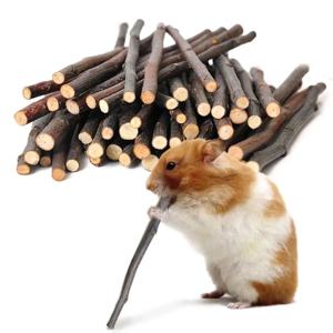 100% 천연 사과 지점 토끼 씹는 스틱 작은 애완 동물 친칠라 네덜란드 돼지 햄스터 물린 어금니 깨끗한 치아 나무 장난감