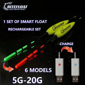 1세트 스마트 낚시 전자 플로트 LED 라이트 낚싯대 세트 CR425 충전식 배터리 충전기 포함, 색상 변경 가능, 잉어 낚시용, 2024년 신제품