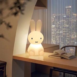 28CM 미피 귀여운 컬러풀 리모컨 침실 무드등 만화 캐릭터 수면등 귀여운 선물 장난감