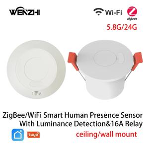 ZigBee3.0/Wifi 24G MmWave 레이더 조명 스위치 광도 감지 용 인간 존재 모션 센서 110/220V Tuya Smart Life Home