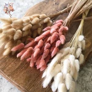 50Pcs 푹신한 토끼 토끼 꼬리 잔디 말린 꽃 꽃다발 웨딩 크리스마스 장식 자연 Pampas Boho 홈 가을 장식