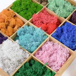 20/40g 인공 식물 영원한 생활 이끼 벽 diy 식물 이끼 재료 홈 가든 마이크로 조경 장식 액세서리 75