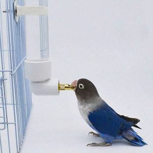 새 자동 물 디펜서, 바늘이 달린 물병, 새에게 물 공급 장비, 1 개