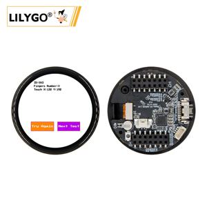 LILYGO® T-Display-S3 ESP32-S3 아두이노용 AMOLED 개발 보드, 와이파이 블루투스 무선 모듈 플래시 16MB PSRAM 8MB, 1.43 인치