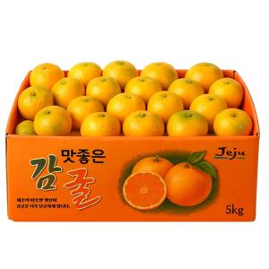 [파격특가] 제주 농장직송 노지 감귤 5kg