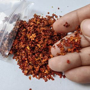 시뮬레이션 낙엽 미니어처 잎 DIY 모델링 기초 철도 분재 요정 정원 디오라마 용품 그라운드킷