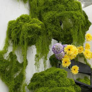 30/100g 인공 녹색 식물 이끼 영원한 생명 이끼 잔디 홈 거실 정원 장식 미니 풍경 가짜 꽃 DIY 공예