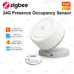 ZigBee 24GHz 밀리미터파 레이더 기반 인체 감지 센서, 자석 부착식, 스마트 라이프, 투야, Zigbee2mqtt와 호환, 허브 필요