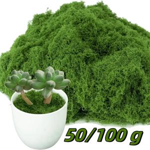 50/100g 시뮬레이션 이끼 인공 이끼 녹색 가짜 식물 홈 가든 벽 마이크로 풍경 장식 DIY 공예품