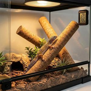 1개 DIY 코르크 나뭇가지 파충류 등반용 스틱, 크레스트 게코, 레오파드 도마뱀, 뱀 테라리움 서식지 장식용 유연한 나무 통나무