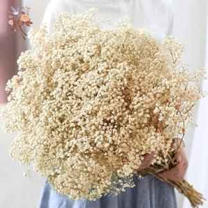 60g 말린 아기 호흡 꽃 꽃다발 자연 마른 꽃 Gypsophila 발렌타인 데이 웨딩 장식 홈 테이블 크리스마스 장식